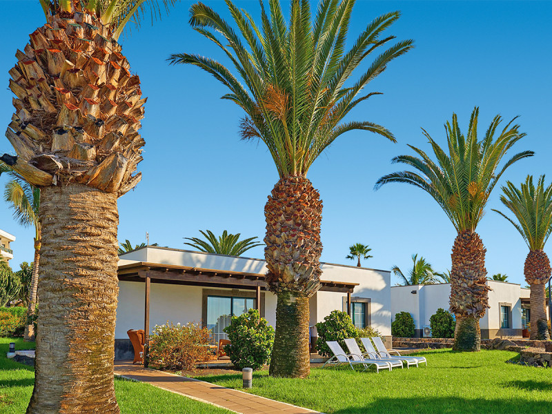 Hipotels Natura Palace