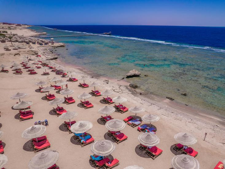 Charmillion Sea Life R.