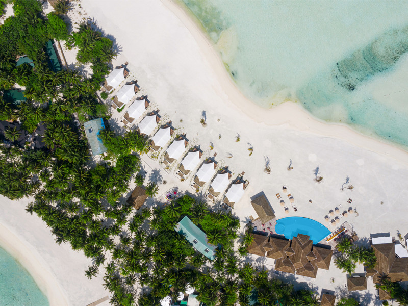 Cinnamon Hakuraa Huraa