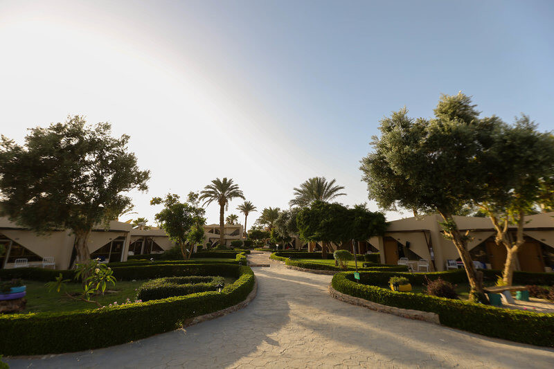 Paradise Abu Soma Ex Solymar Paradise