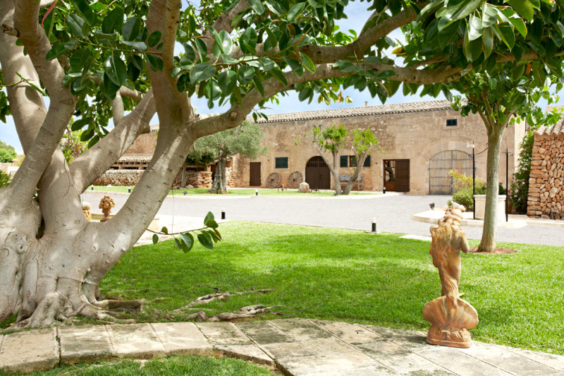 Es Puig de Ros d'Alt