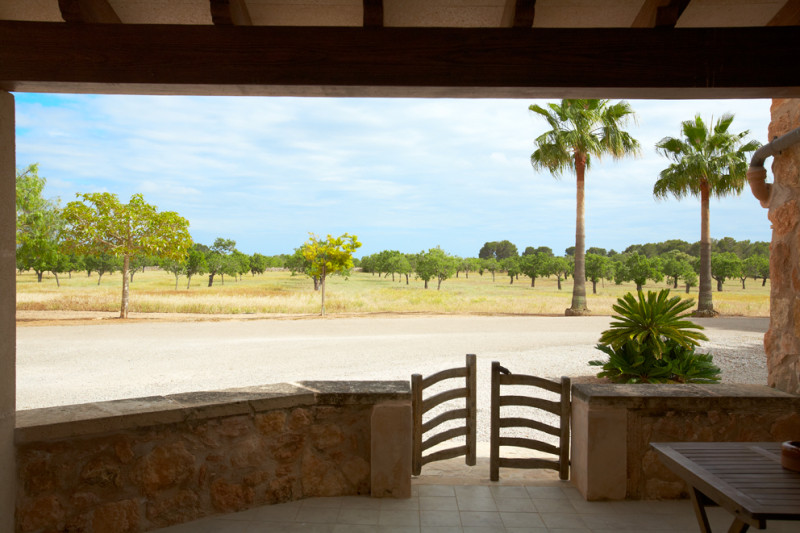 Es Puig de Ros d'Alt