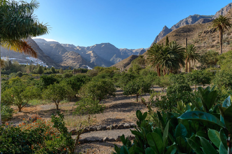 Finca Las Longueras