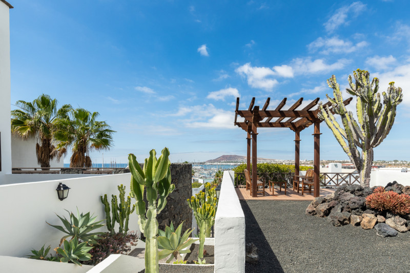 LIVVO Volcán Lanzarote