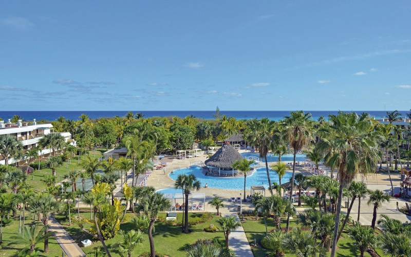 Sol Palmeras ●●●●