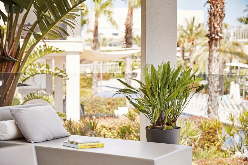 Zafiro Palace Alcudia ●●●●●