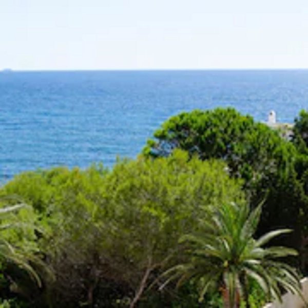 Moon Dreams ParaÃ­so ●●●○