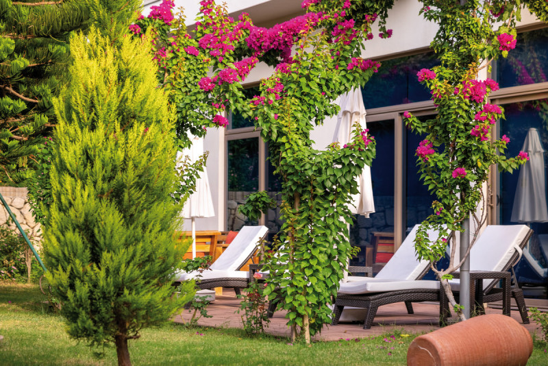 Commodore Elite Suites & Spa