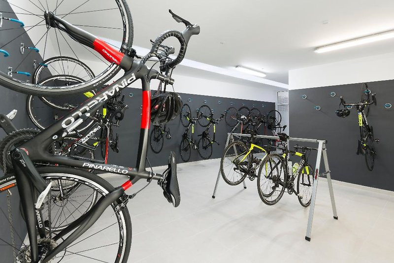 Reverence Mare ●●●●