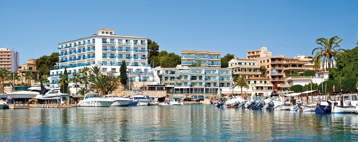 PortoDrach ●●●●