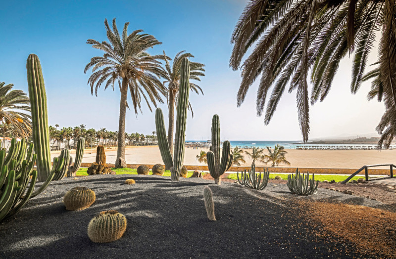 Barceló Fuerteventura Royal Level - Adults Only