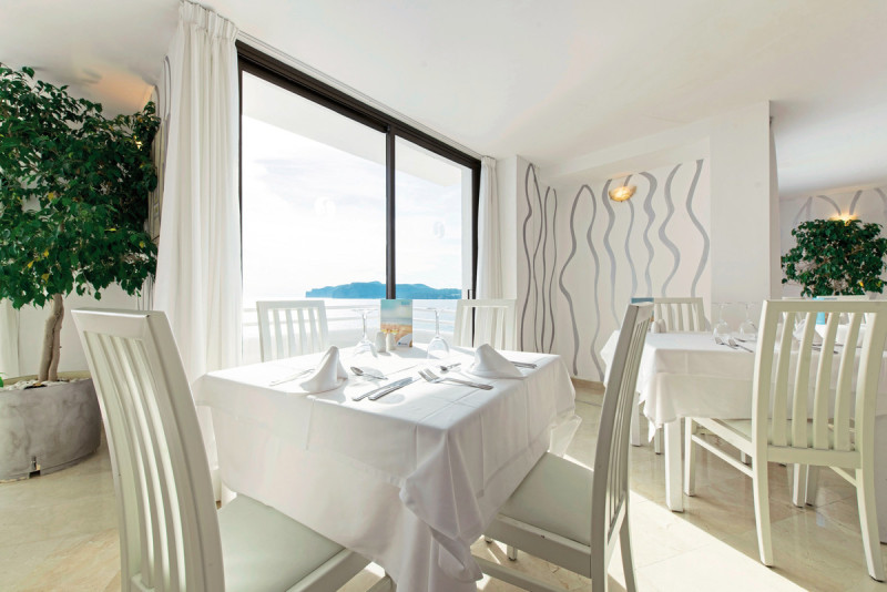 Sentido Fido Punta del Mar