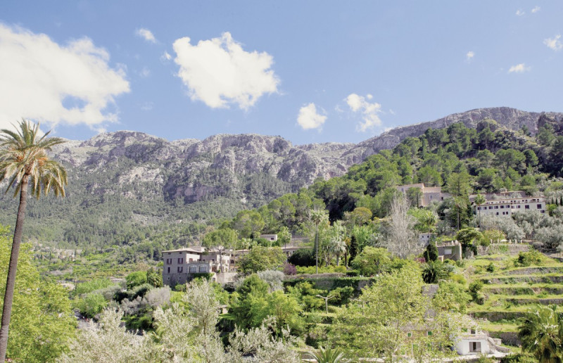 Es Moli ●●●●