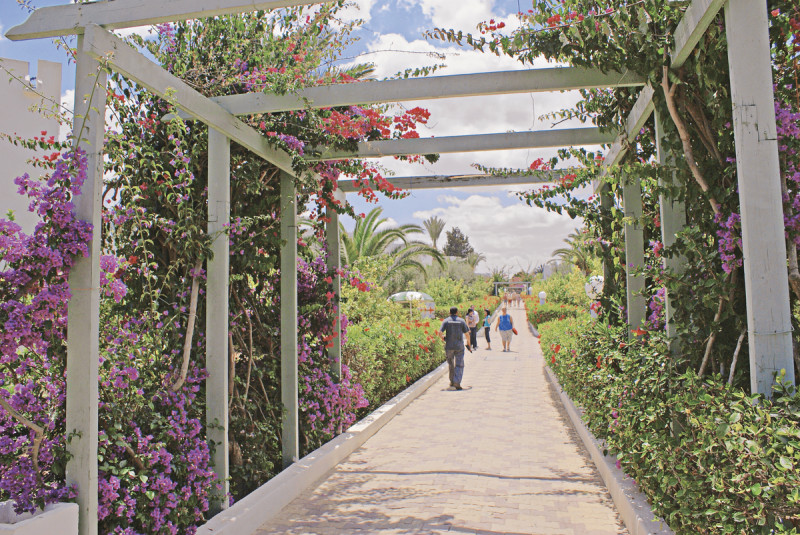 El Mouradi Club Selima