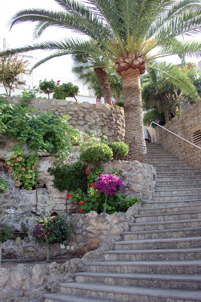 Casablanca ●●●