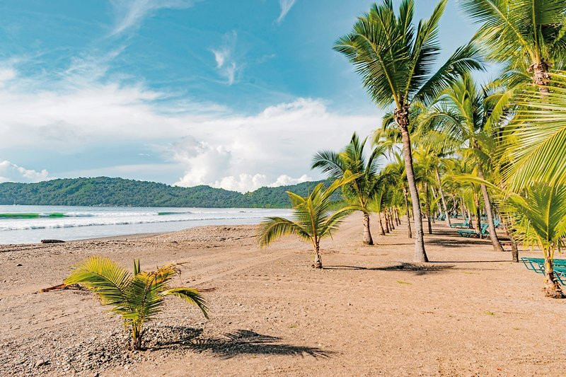 BarcelÃ³ Tambor ●●●●