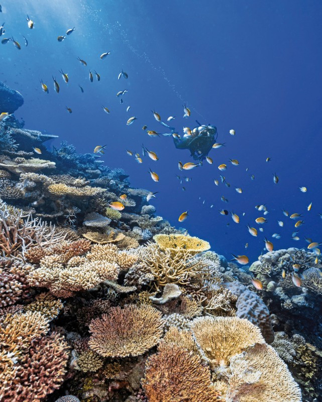 Park Hyatt Maldives Hadahaa ●●●●●○