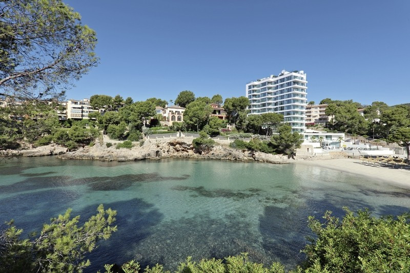 The Donna Portals ●●●●●