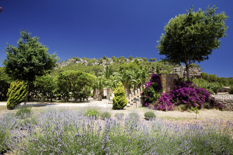 Finca Ca N'Ai Bio Retreat ●●●●○