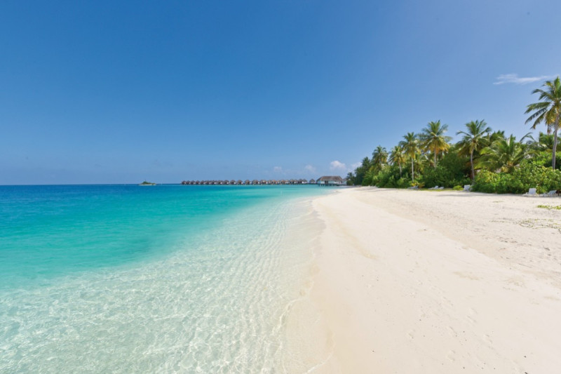 Safari Island Resort & Spa ●●●●