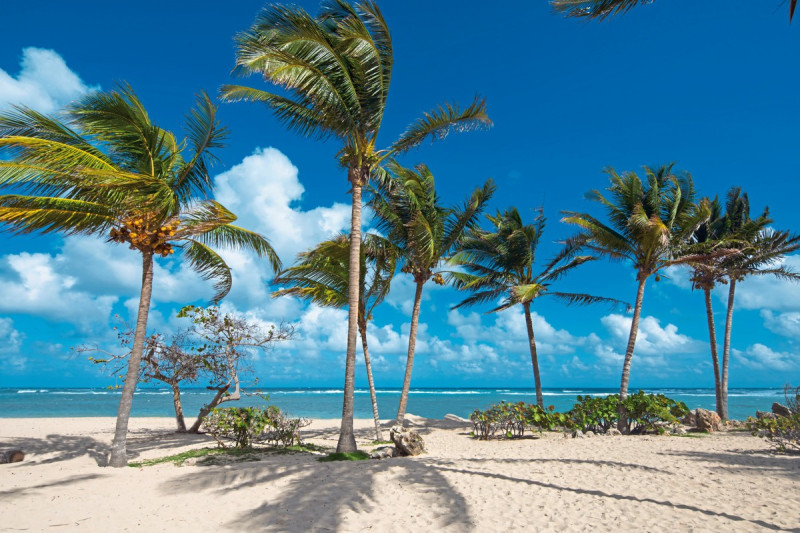 Memories Jibacoa ●●●●