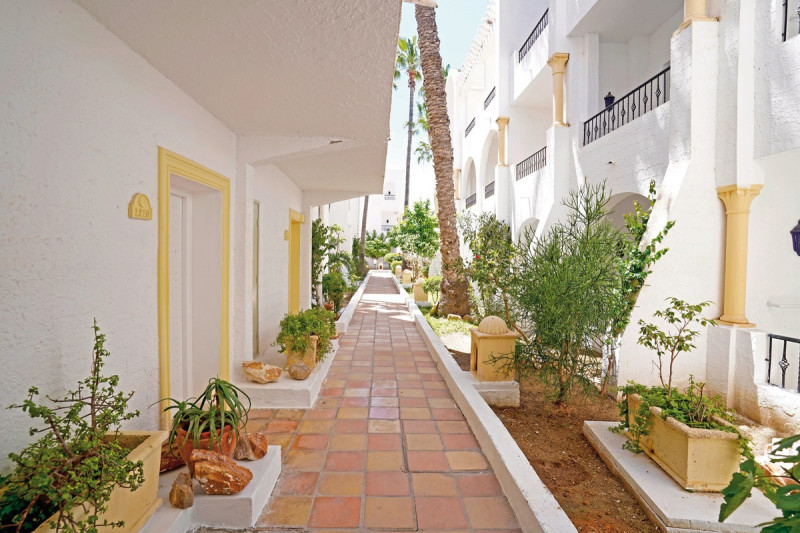 Nesrine ●●●○