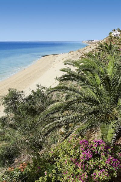 Allsun Hotel Esquinzo Beach ●●●●