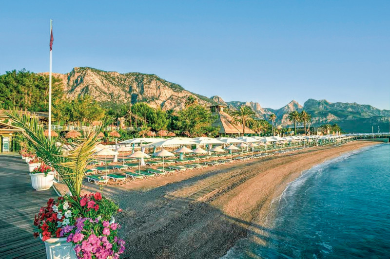 Gypsophila Club Marine