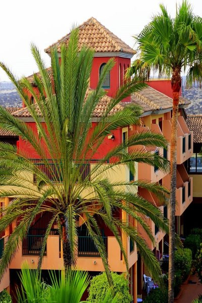 O7 Aloe Corralejo ●●●