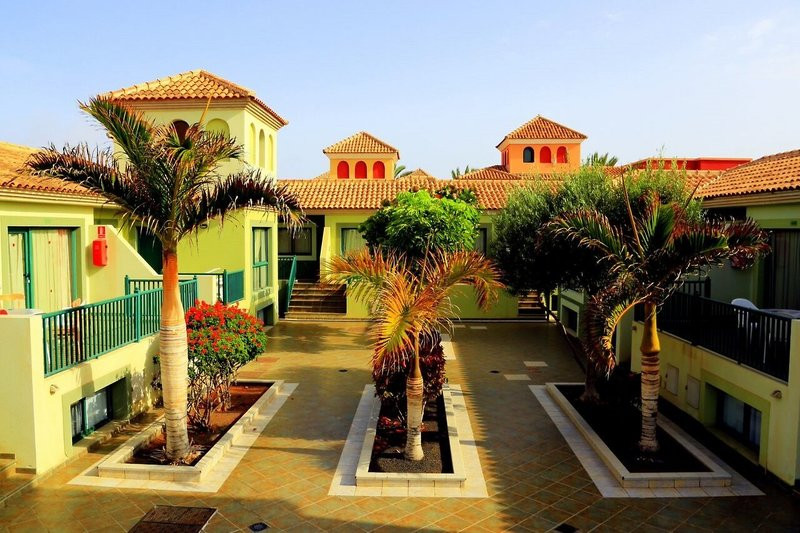 O7 Aloe Corralejo ●●●