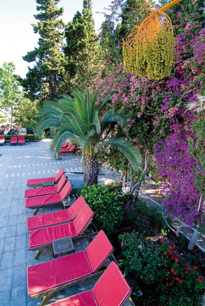 Les Orangers Beach Resort