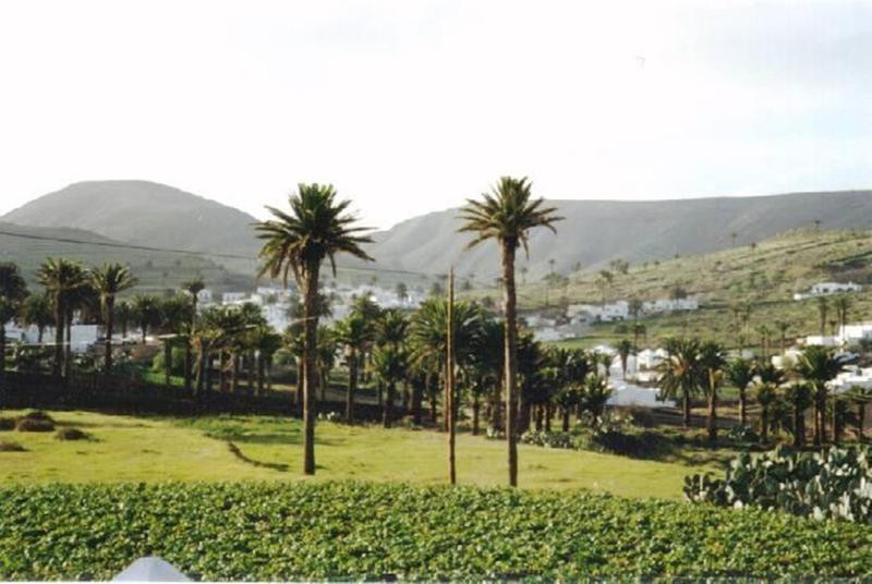 Apartamentos Celeste ●●●