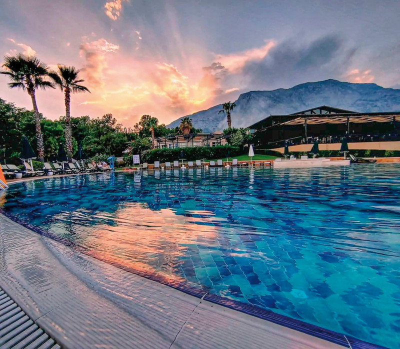 Gypsophila Club Marine