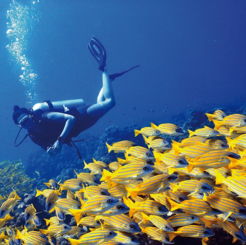 The Barefoot Eco Hotel ●●●●