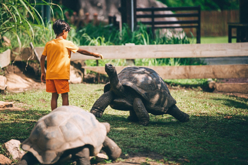 Raffles Seychelles ●●●●●●