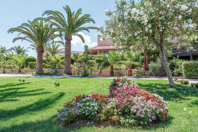 Anissa Beach ●●●●