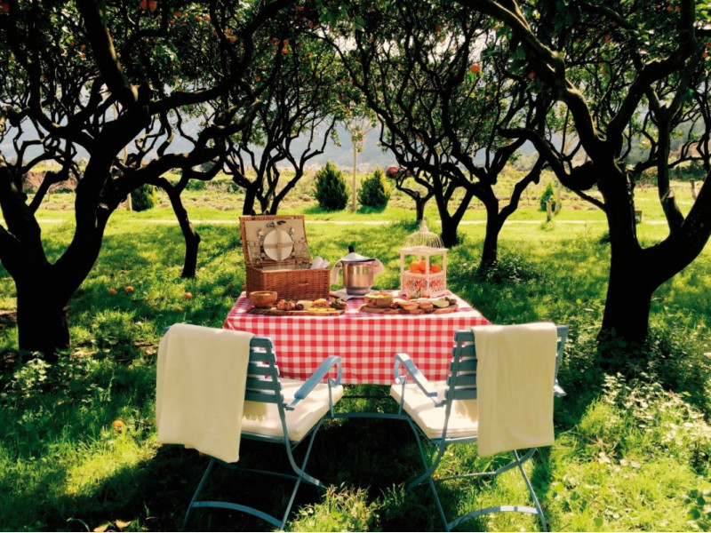 Finca Ca N'Ai Bio Retreat ●●●●○