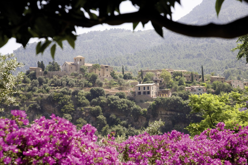 Es Moli ●●●●