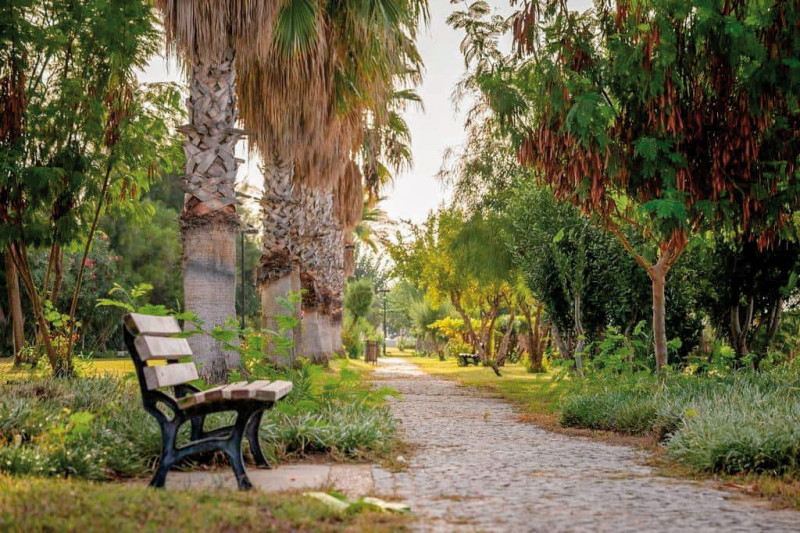 Commodore Elite Suites & Spa