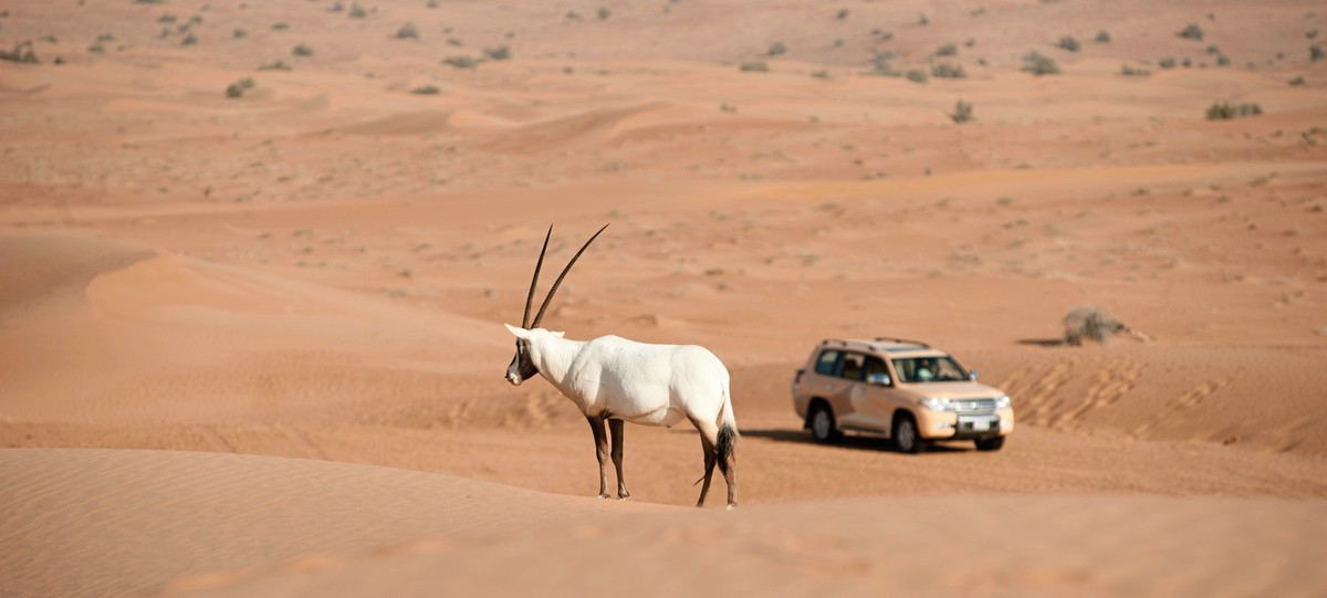 Al Maha, A Luxury Collection Desert Resort & Spa