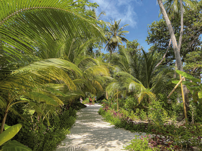 Malahini Kuda Bandos