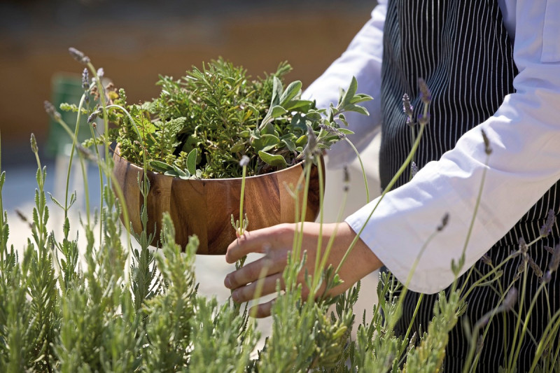 Anthemus Sea Beach Hotel & Spa