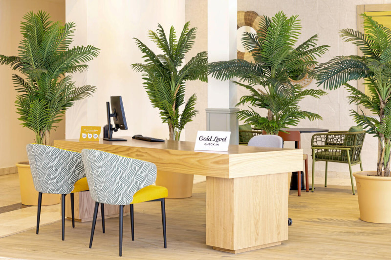 Gran Castillo Tagoro Family & Fun