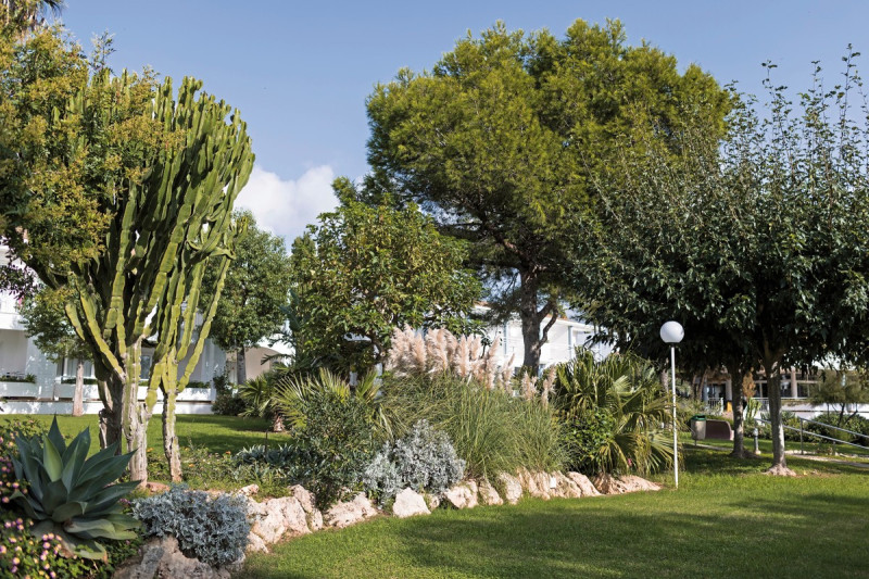 Sagitario Princesa Playa