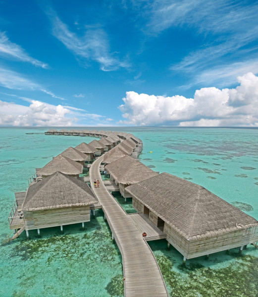 Cocoon Maldives