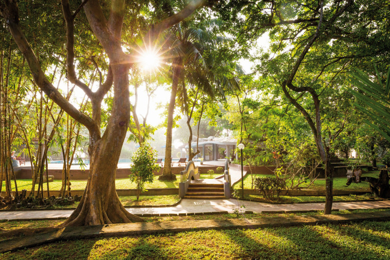 Siddhalepa Ayurveda Health Resort