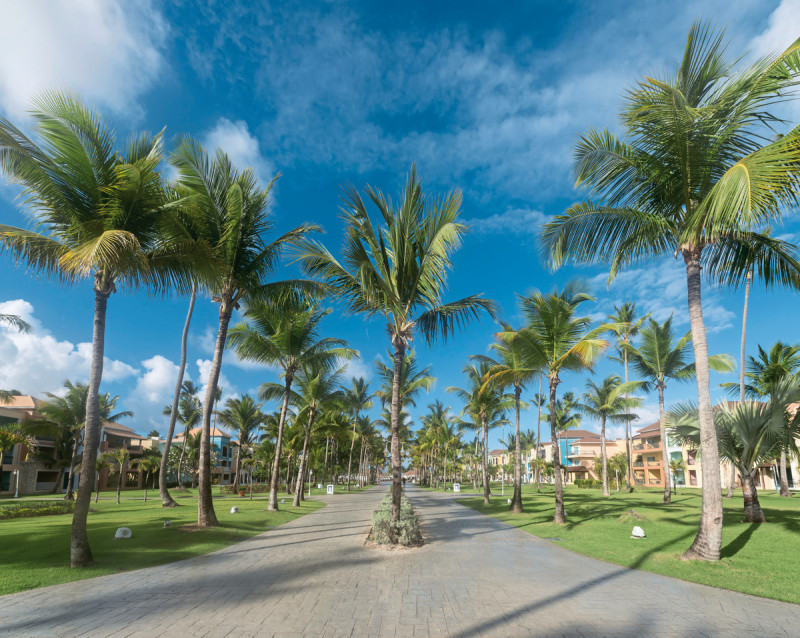 Ocean Blue & Sand