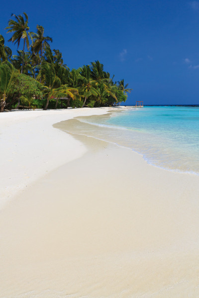 Niva Kurumba Maldives