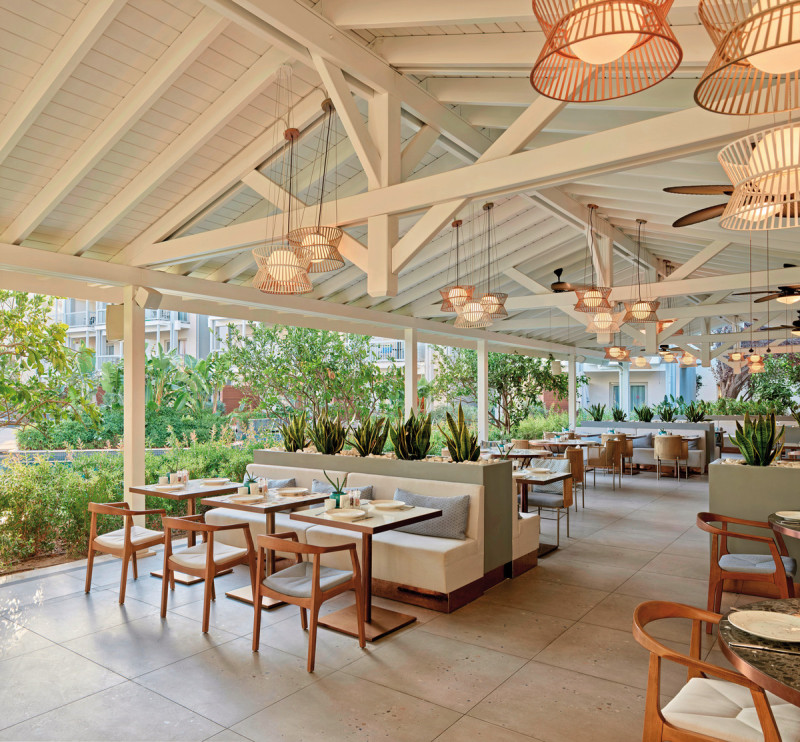 Lara Barut Collection