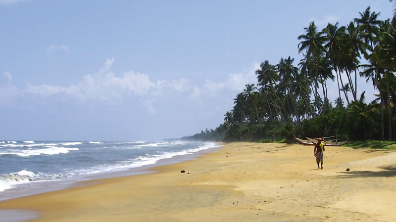 Siddhalepa Ayurveda Health Resort